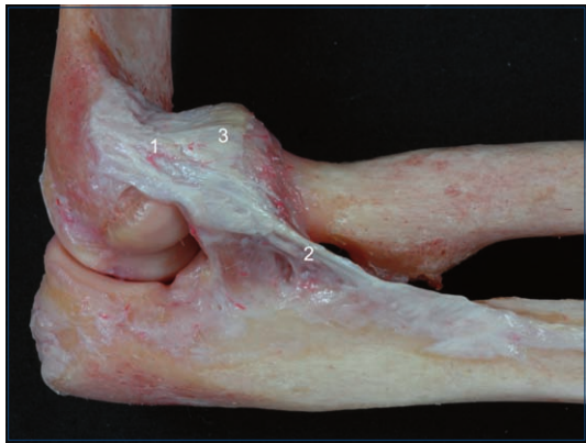 image-20250701224214588