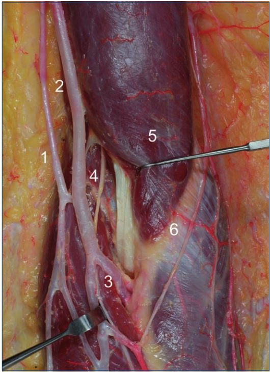 image-20250701224337606