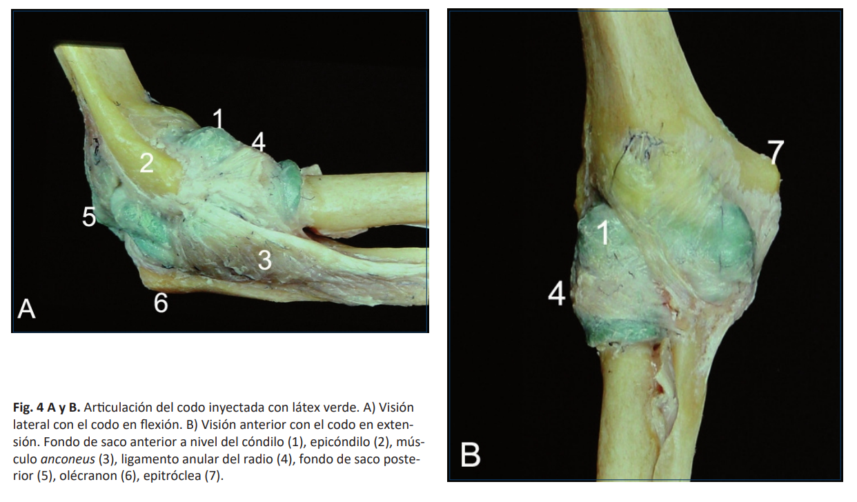 image-20250701225137414