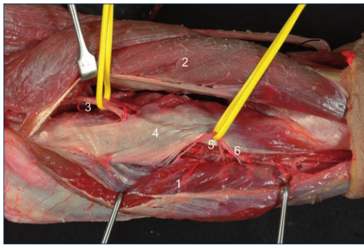 image-20250701225859110