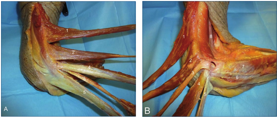 image-20250701230005710