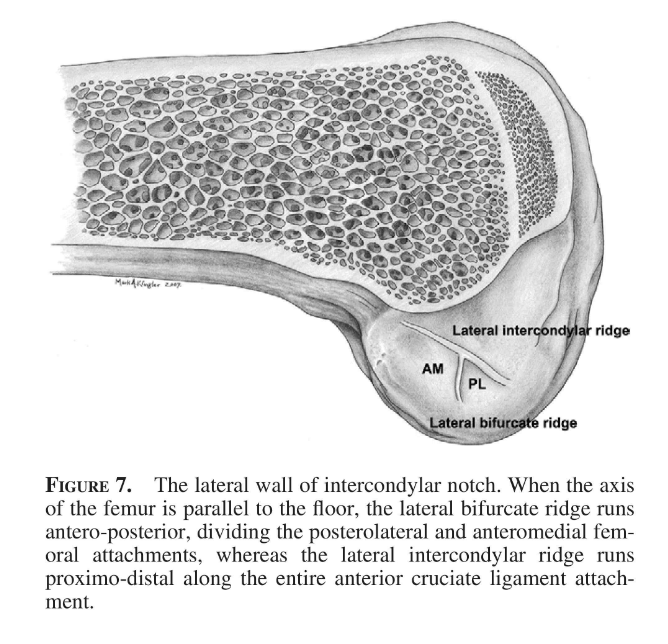 image-20250701195453613