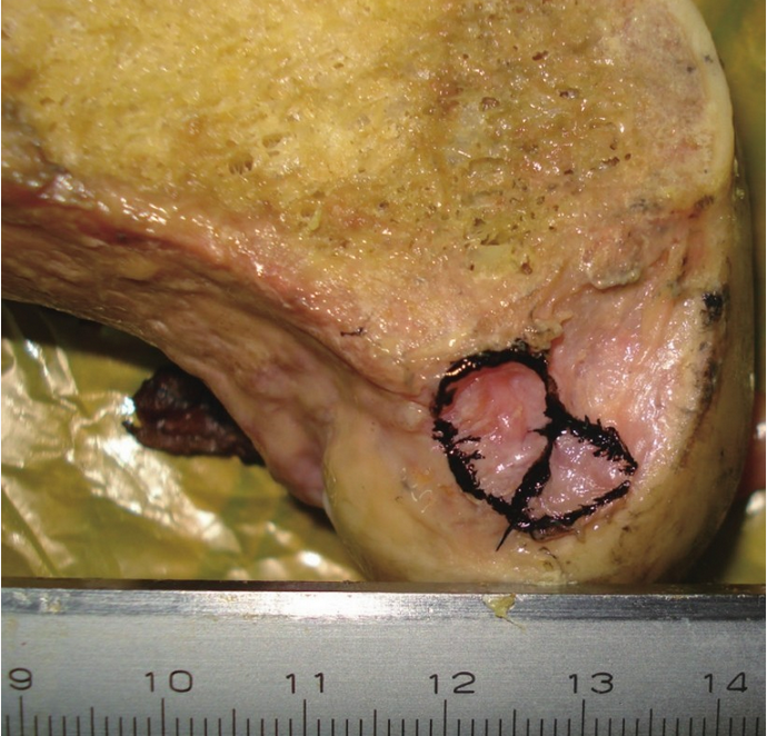 image-20250701200922715