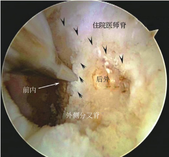 image-20250701200943561